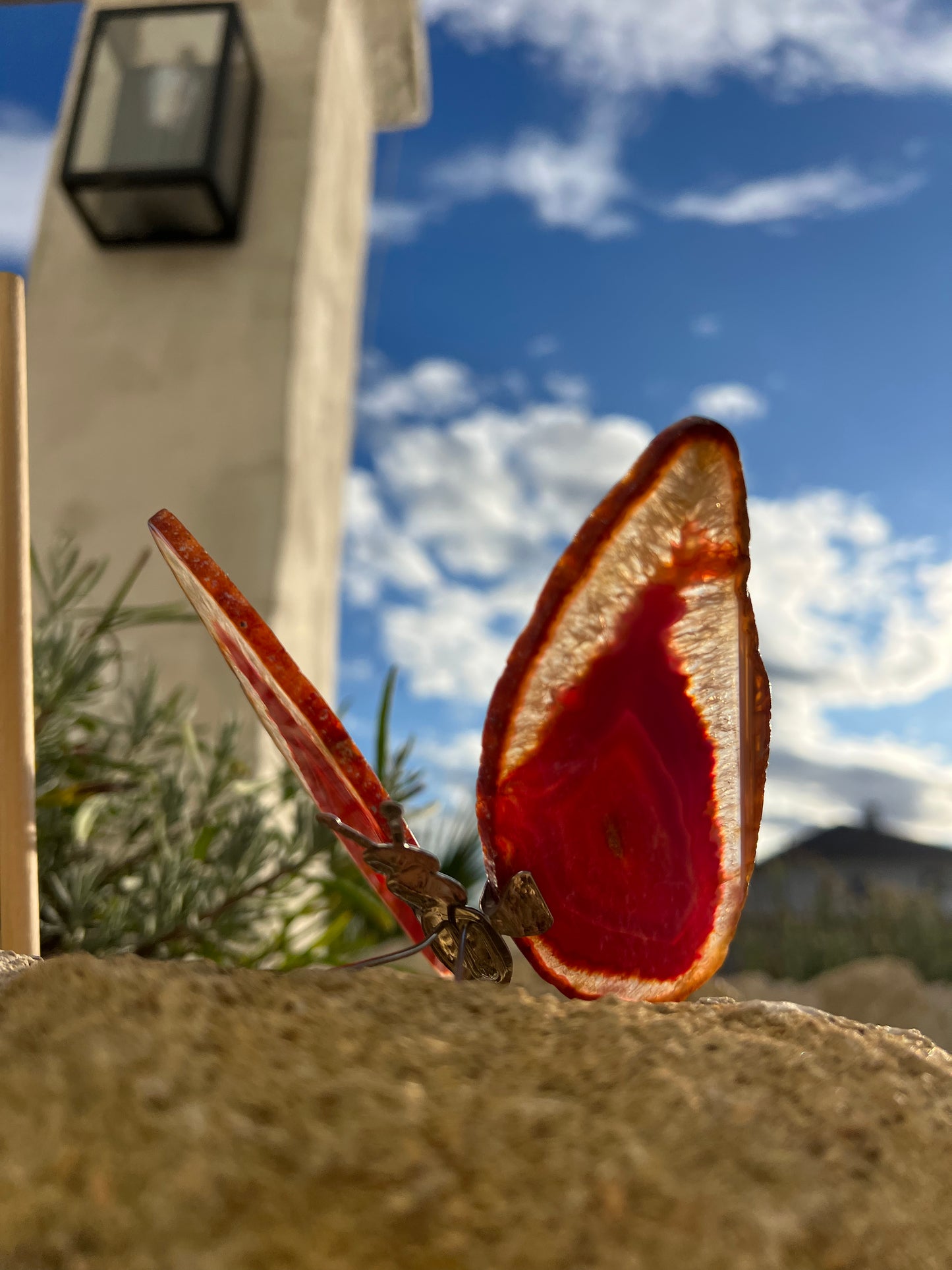 Schmetterling Achat